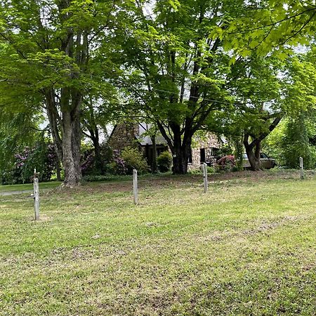 Asheville Urban Farmhouse Entire Home 4 Mi To Dt Экстерьер фото